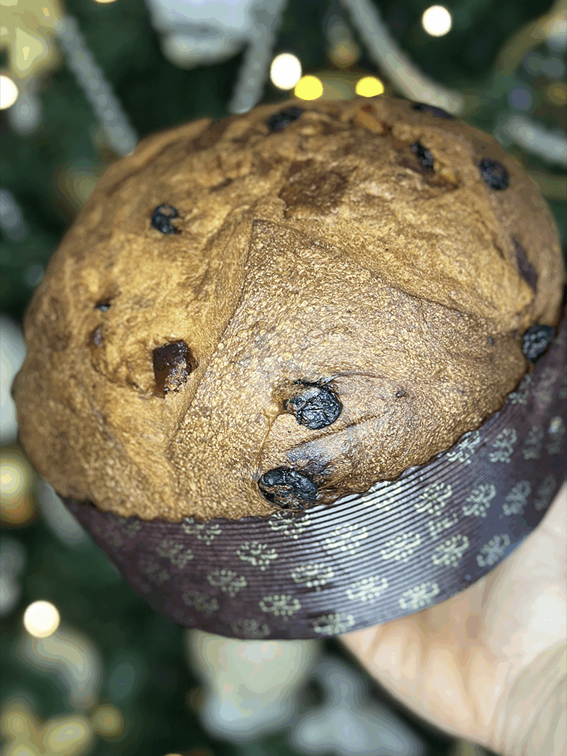 Panettone Classico Tradizionale